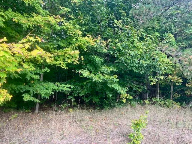 $355,000 | Nine 9 Mile Road, Kaleva, MI 49645