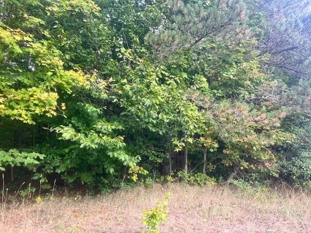 $355,000 | Nine 9 Mile Road, Kaleva, MI 49645