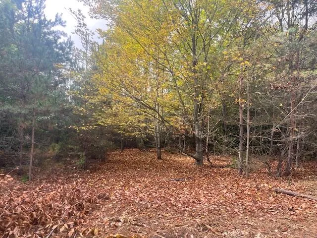 $355,000 | Nine 9 Mile Road, Kaleva, MI 49645