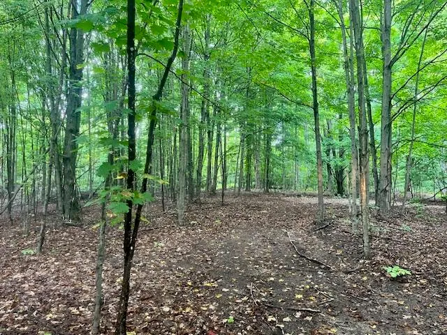 $355,000 | Nine 9 Mile Road, Kaleva, MI 49645