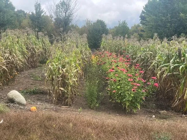 $355,000 | Nine 9 Mile Road, Kaleva, MI 49645