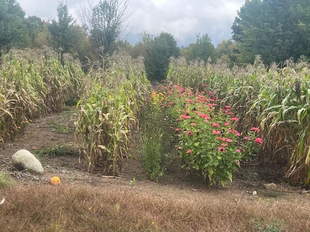 Nine 9 Mile Road Kaleva, MI 49645 - Photo 5 of 31 IMG_6875