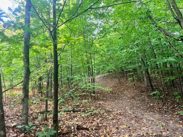 $355,000 | Nine 9 Mile Road, Kaleva, MI 49645