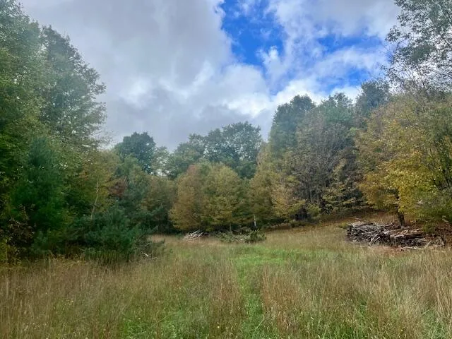 $355,000 | Nine 9 Mile Road, Kaleva, MI 49645