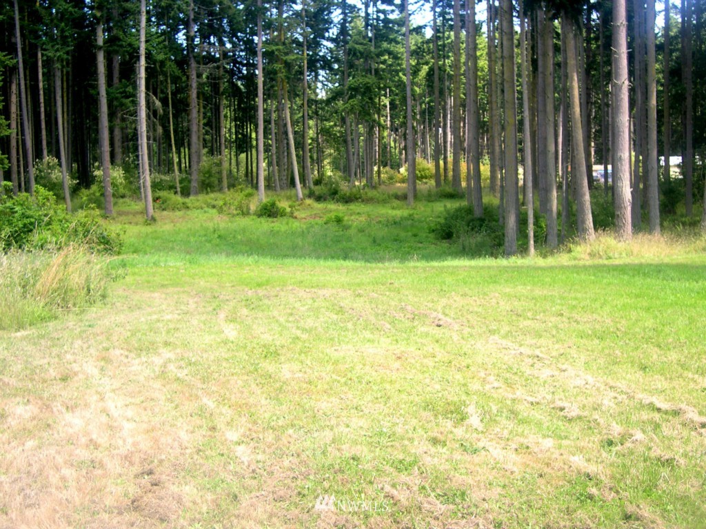 620 Patmore Road Coupeville, WA 98239 - Photo 8 of 21 Gallery Image 8