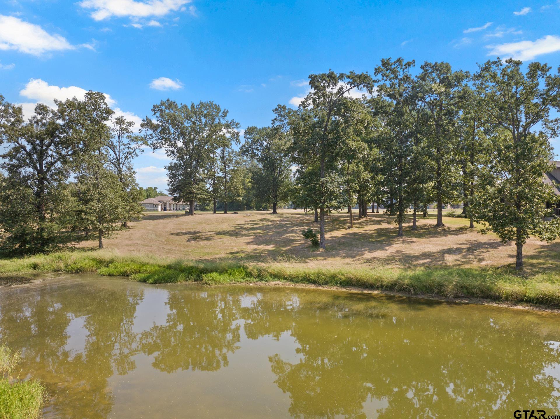 232 PR 2712 Mount Pleasant, TX 75455 - Photo 21 of 22 a view of lake with tree