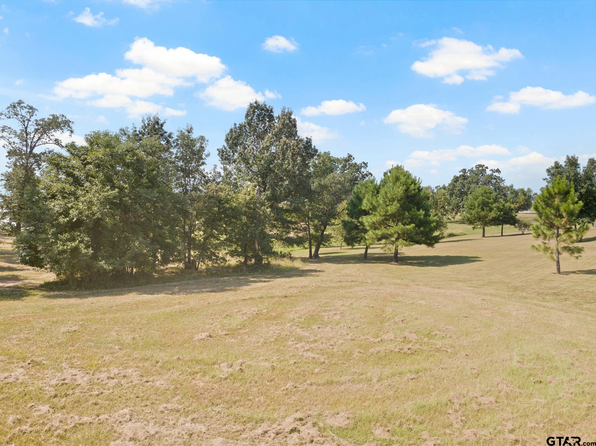 232 PR 2712 Mount Pleasant, TX 75455 - Photo 5 of 22 a view of ocean view