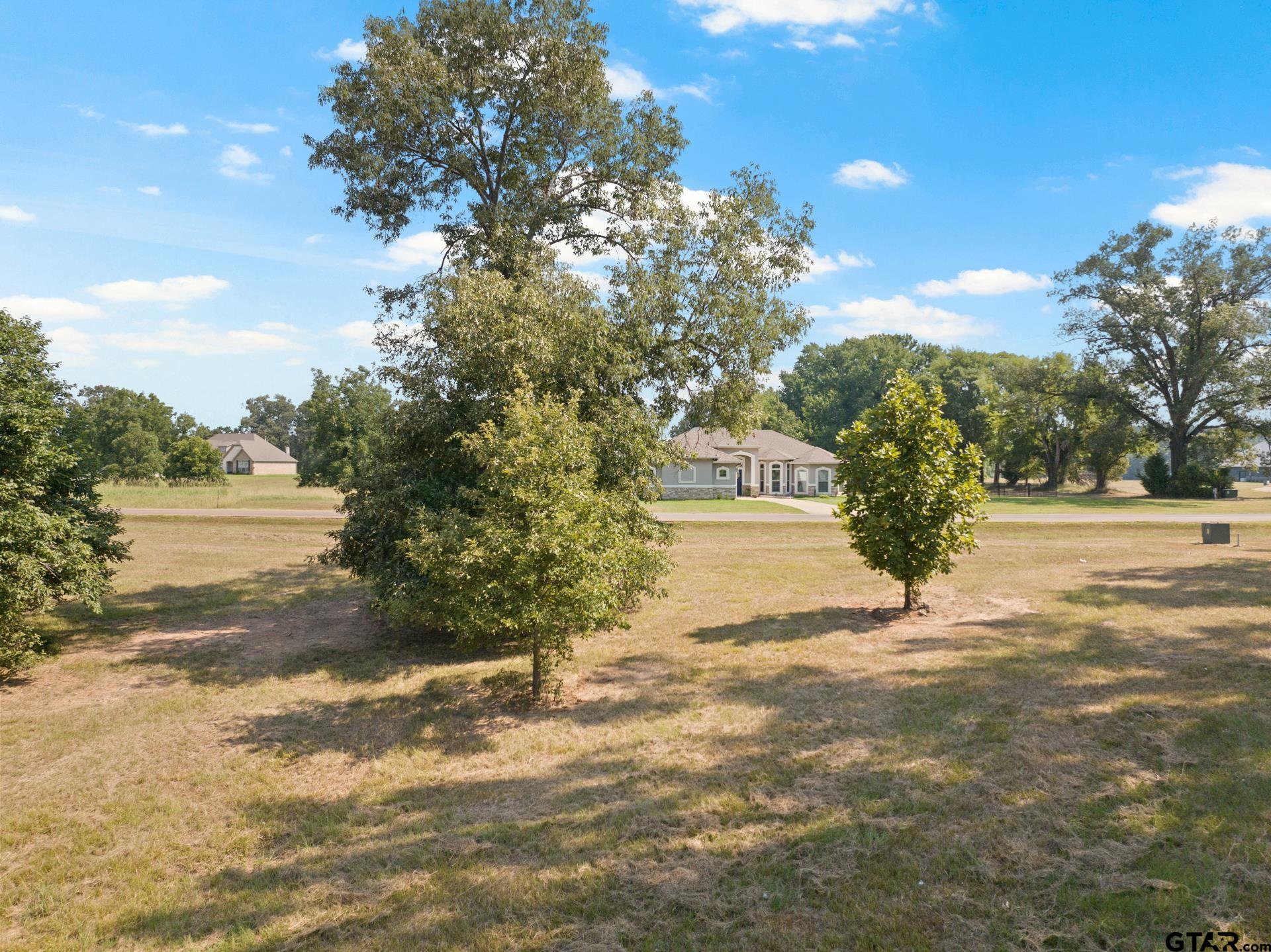 232 PR 2712 Mount Pleasant, TX 75455 - Photo 7 of 22