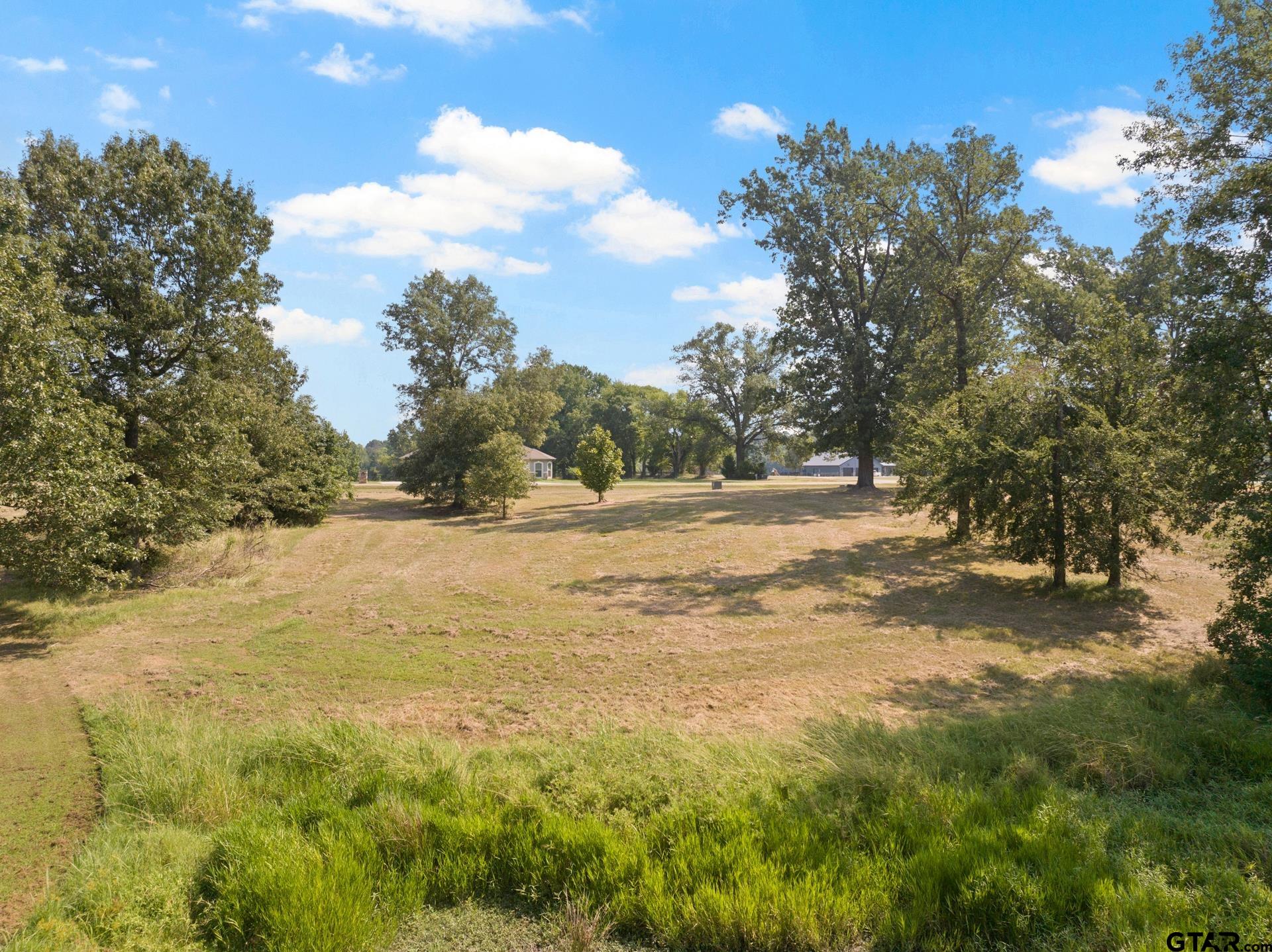 232 PR 2712 Mount Pleasant, TX 75455 - Photo 8 of 22 a view of yard with green space