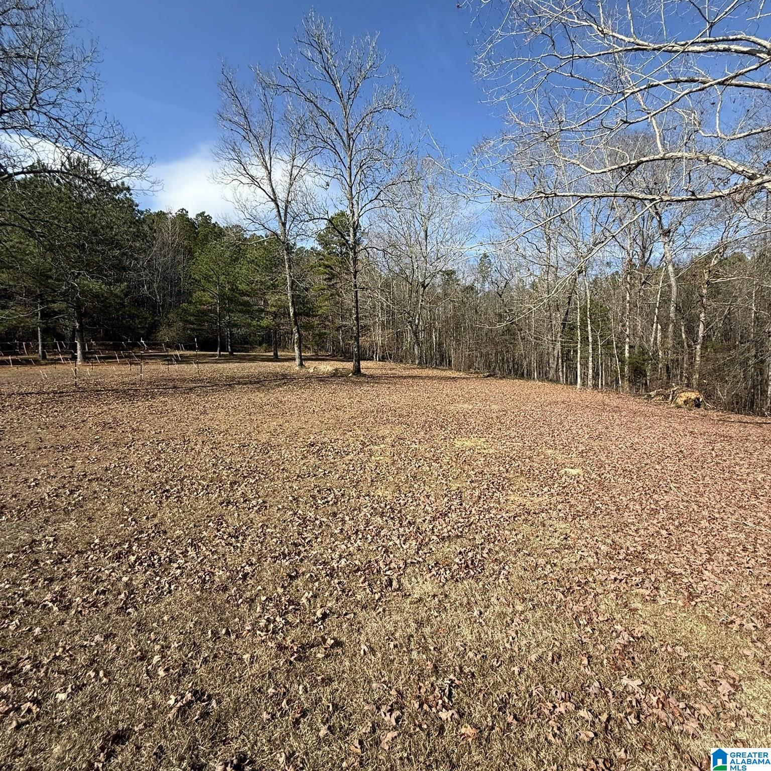 2170 County Highway 93 Hamilton, AL 35570 - Photo 25 of 25