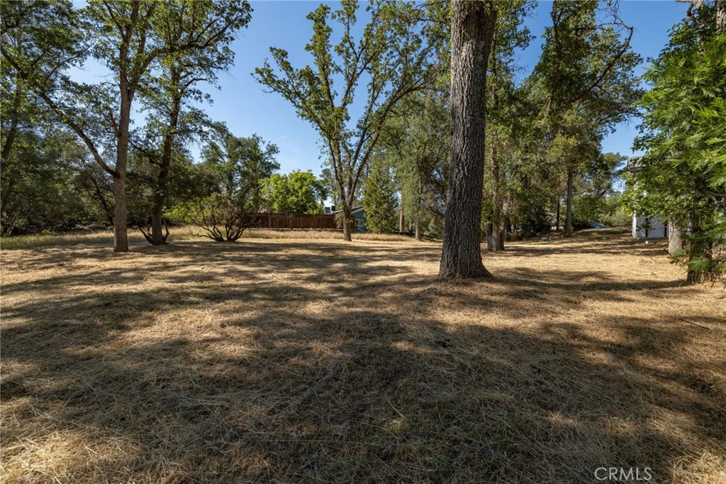 48866 Rock Point Road Oakhurst, CA 93644 - Photo 56 of 59