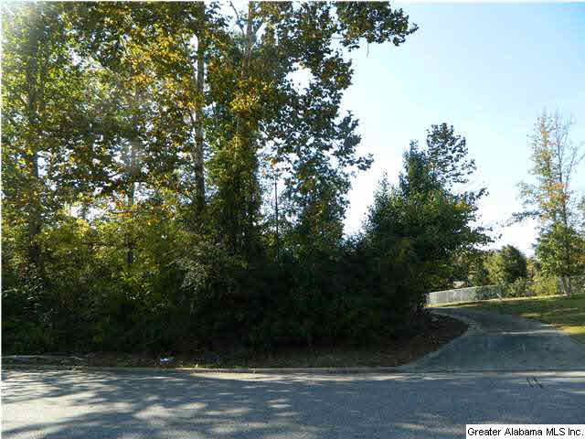 5577 Tyler Loop Road Pinson, AL 35126 - Photo 26 of 29