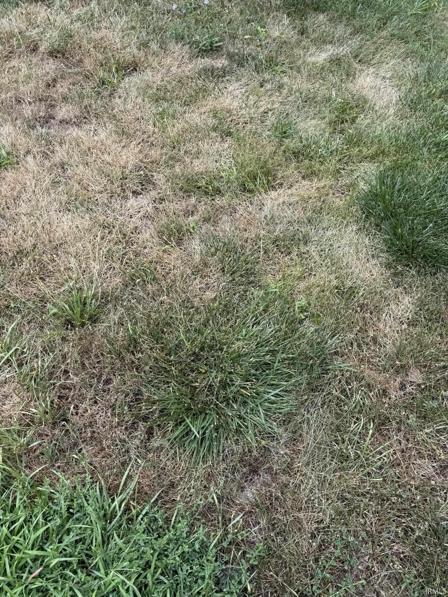 442 Colerick Street Fort Wayne, IN 46806 - Photo 1 of 1