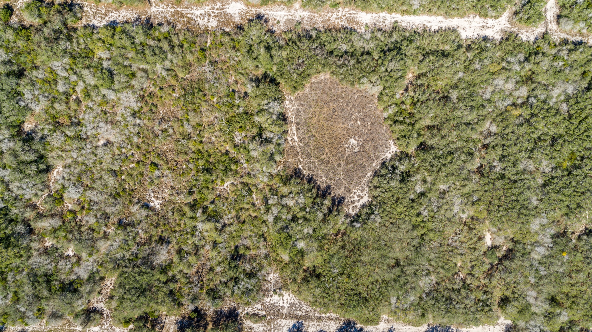 13 Rhodes Avenue Aransas Pass, TX 78336 - Photo 11 of 37 a close up of a tree