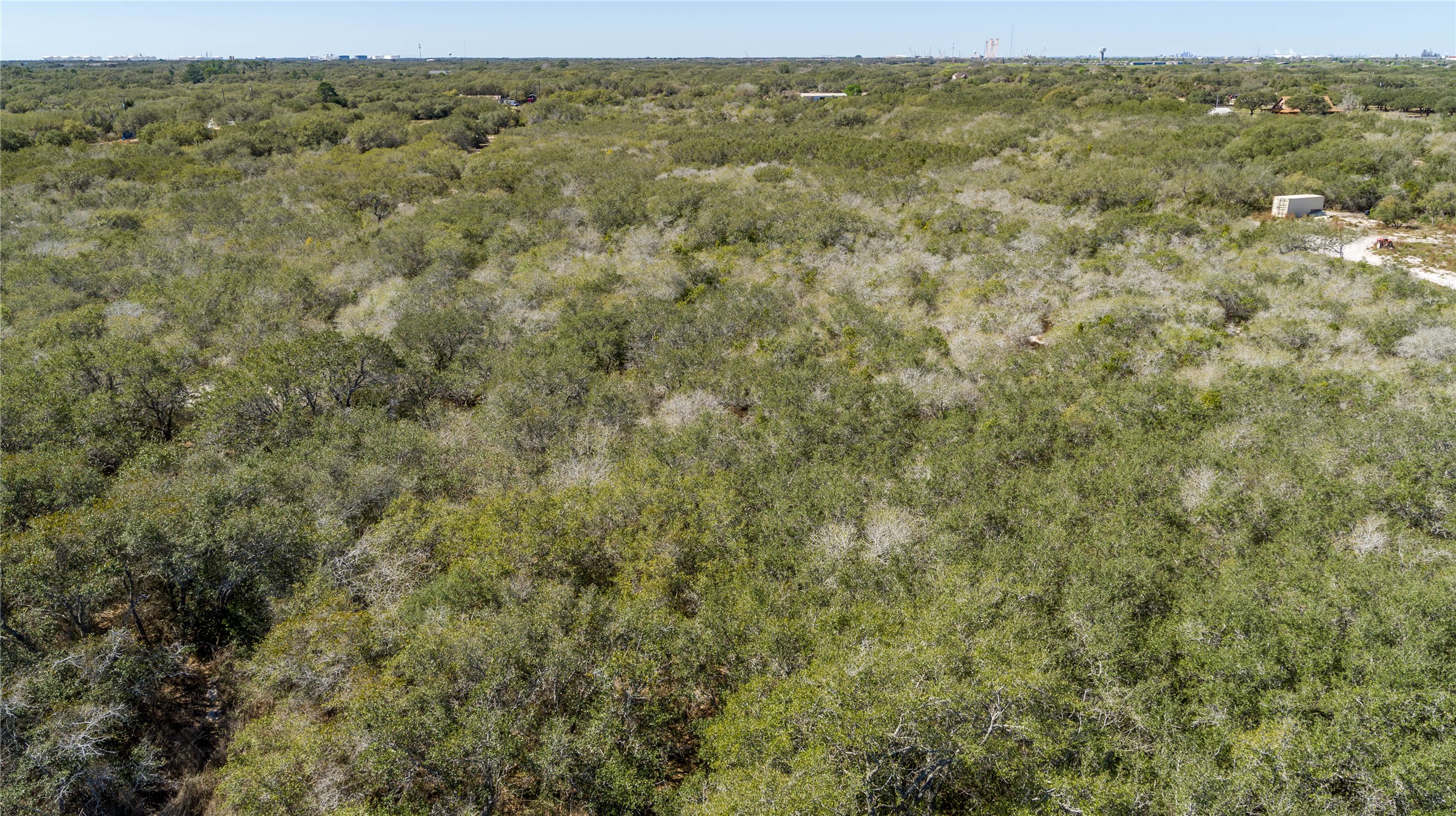 13 Rhodes Avenue Aransas Pass, TX 78336 - Photo 20 of 37 a view of a field with trees in the background