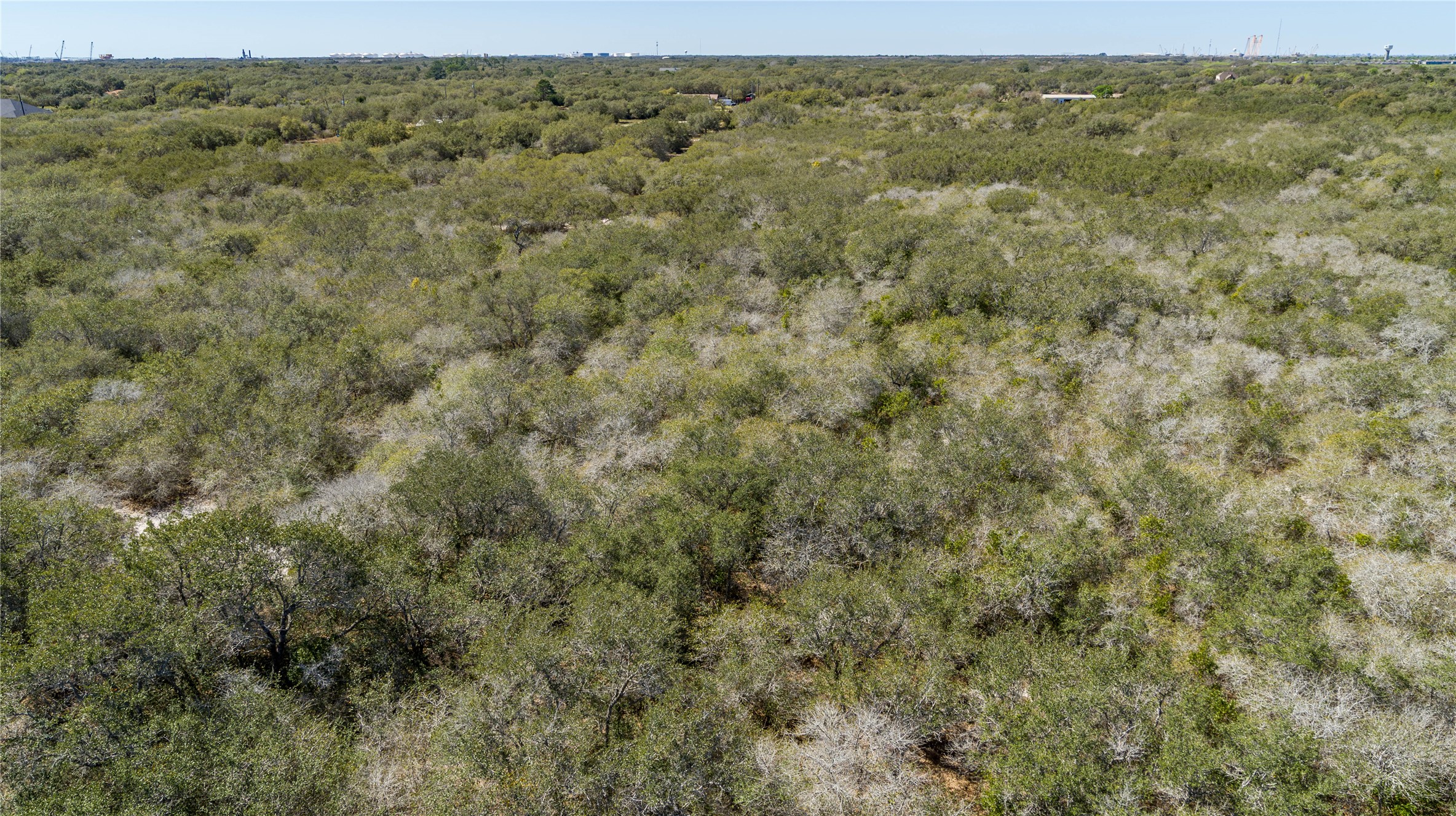 13 Rhodes Avenue Aransas Pass, TX 78336 - Photo 21 of 37 a view of a field with trees in the background