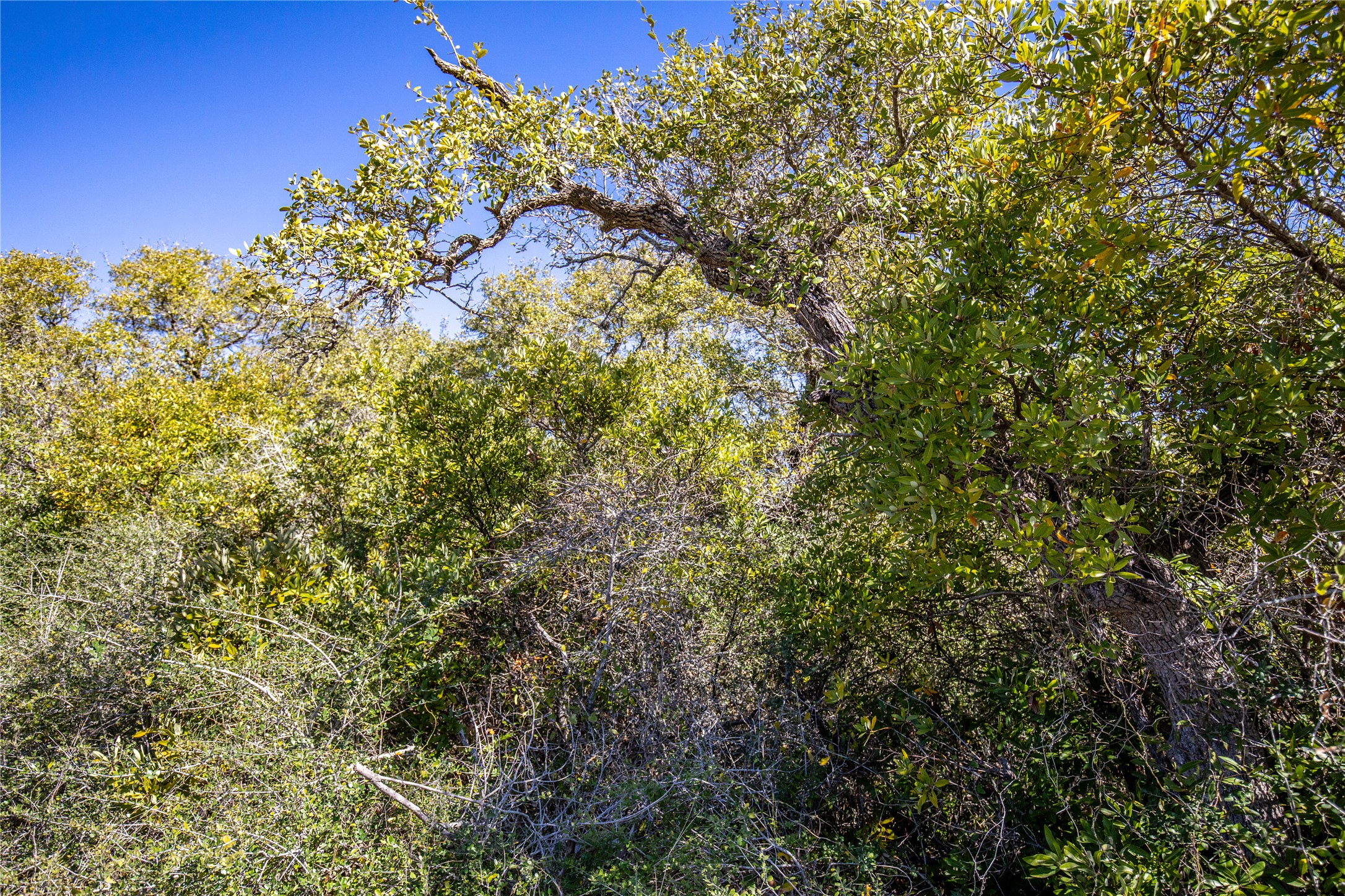 13 Rhodes Avenue Aransas Pass, TX 78336 - Photo 24 of 37