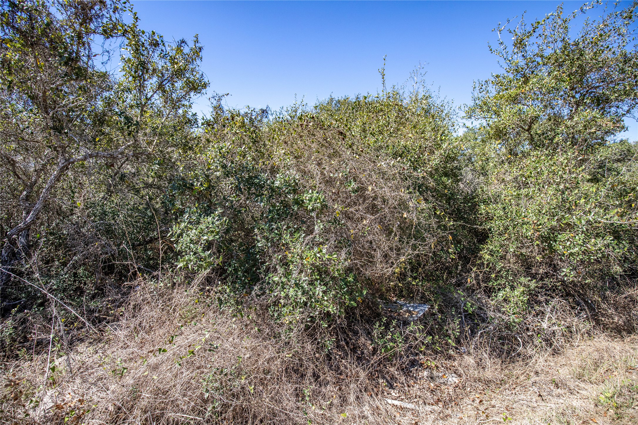 13 Rhodes Avenue Aransas Pass, TX 78336 - Photo 32 of 37 a view of a large yard with lots of bushes