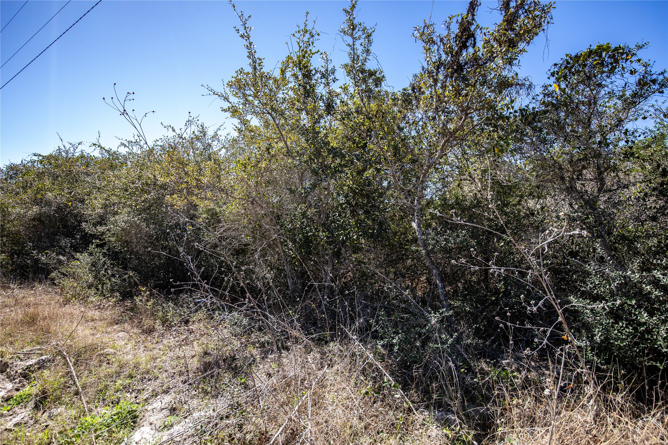 13 Rhodes Avenue Aransas Pass, TX 78336 - Photo 35 of 37 a view of a dry yard