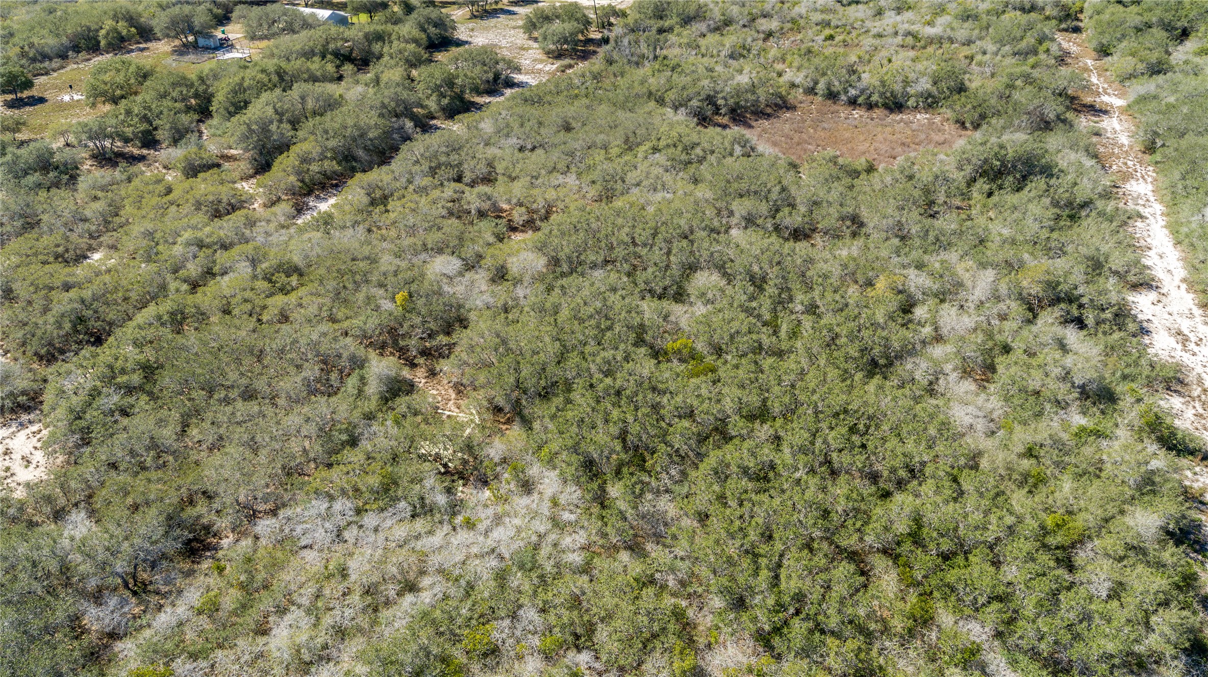 13 Rhodes Avenue Aransas Pass, TX 78336 - Photo 6 of 37 a view of a dry yard with green space
