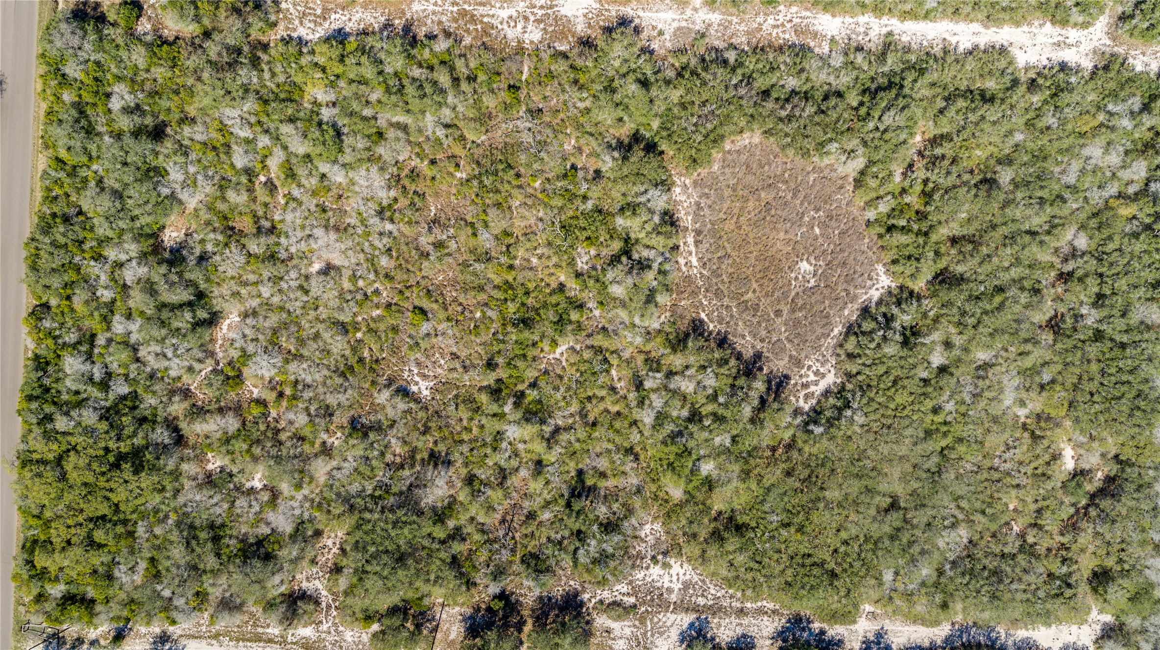 13 Rhodes Avenue Aransas Pass, TX 78336 - Photo 10 of 37 a close up of a tree