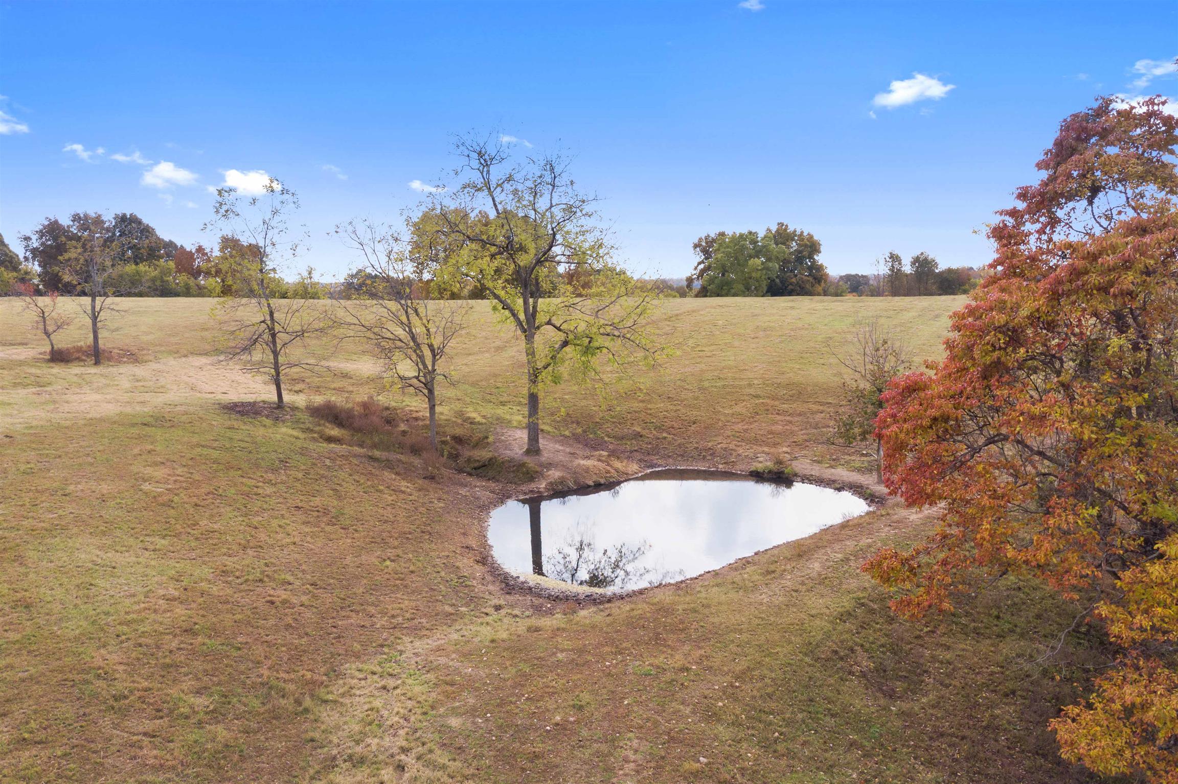 0 Clarence Murphy Road Springfield, TN 37172 - Photo 7 of 13 a view of a swimming pool with a yard