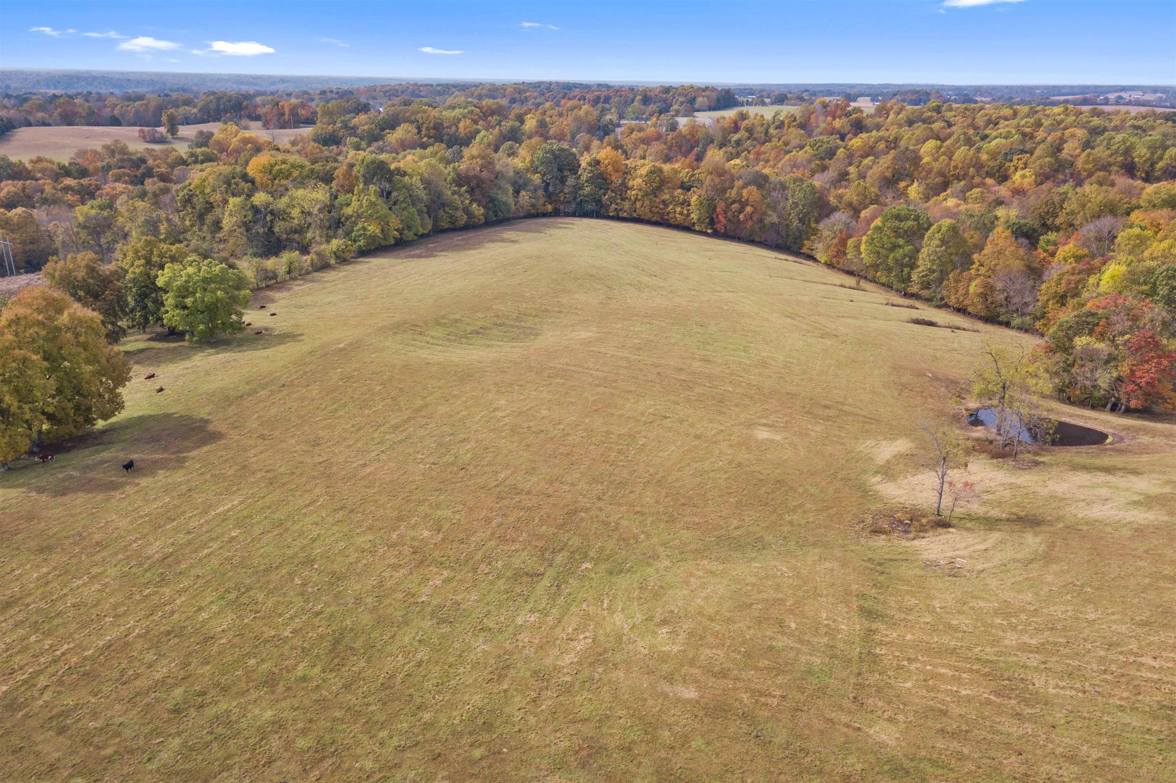 0 Clarence Murphy Road Springfield, TN 37172 - Photo 8 of 13