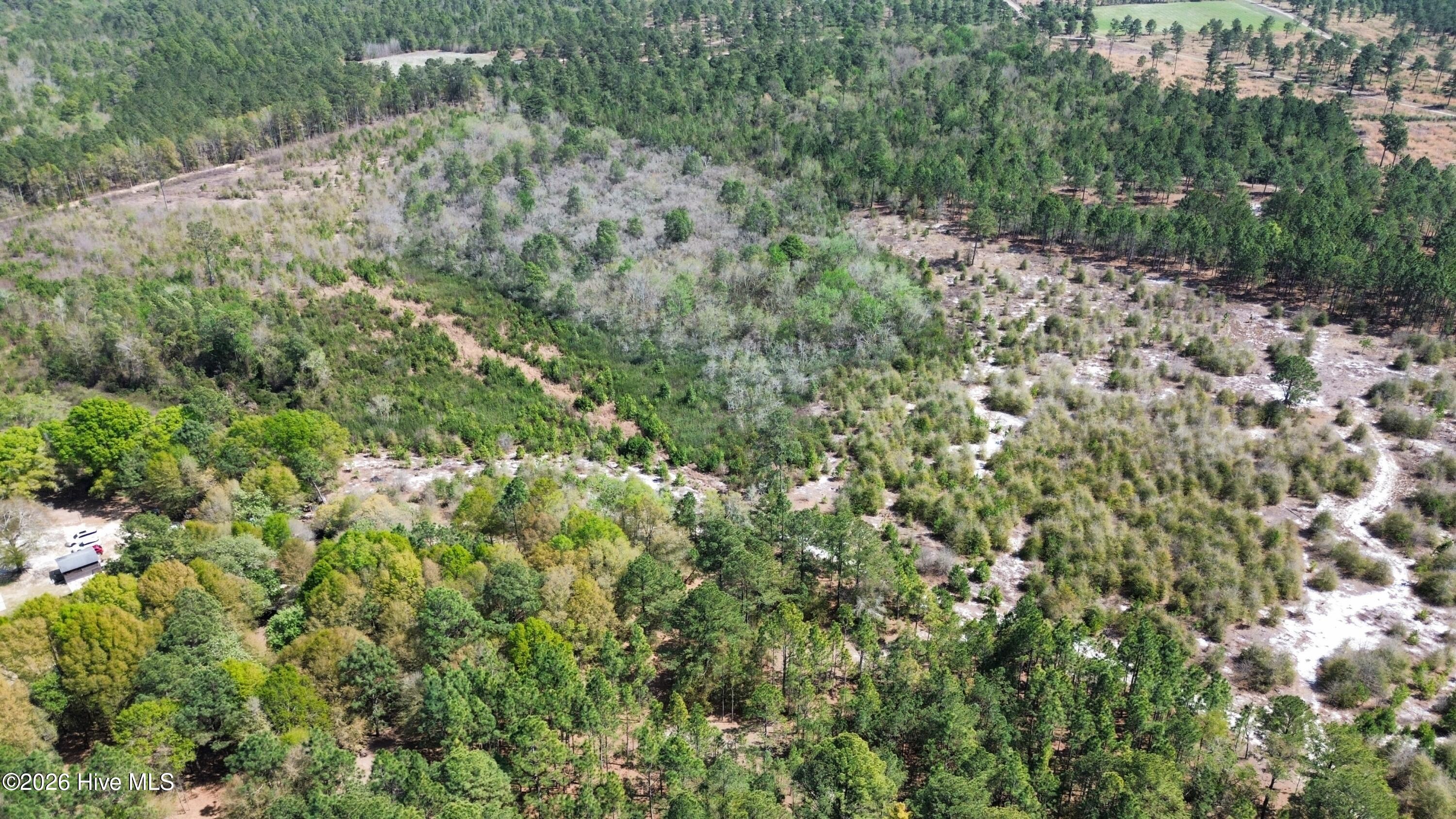 0 Wilbur Pridgen Road Harrells, NC 28444 - Photo 4 of 7 dji_fly_20260401_141656_6_1775096014322_