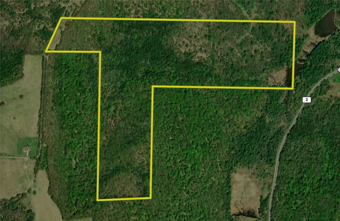 Greenbush Road Erin, NY 14838 - Photo 33 of 38 Gallery Image 33