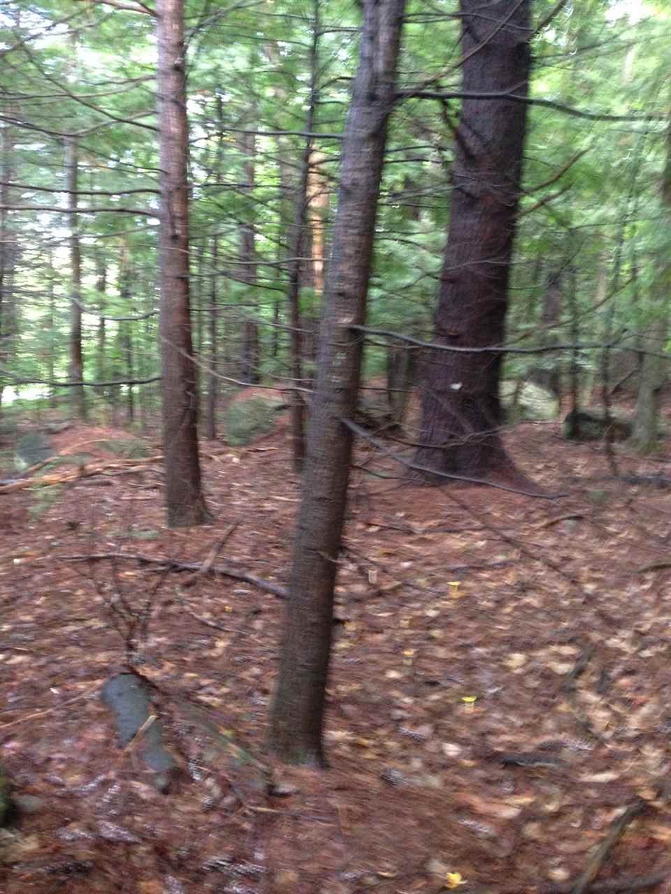 Gibson Mountain Road Antrim, NH 03440 - Photo 15 of 19 Gallery Image 15