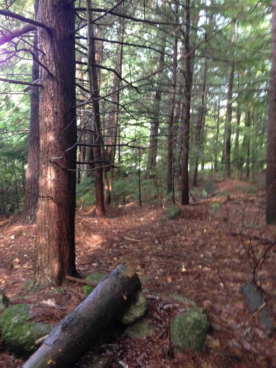 Gibson Mountain Road Antrim, NH 03440 - Photo 16 of 19 Gallery Image 16