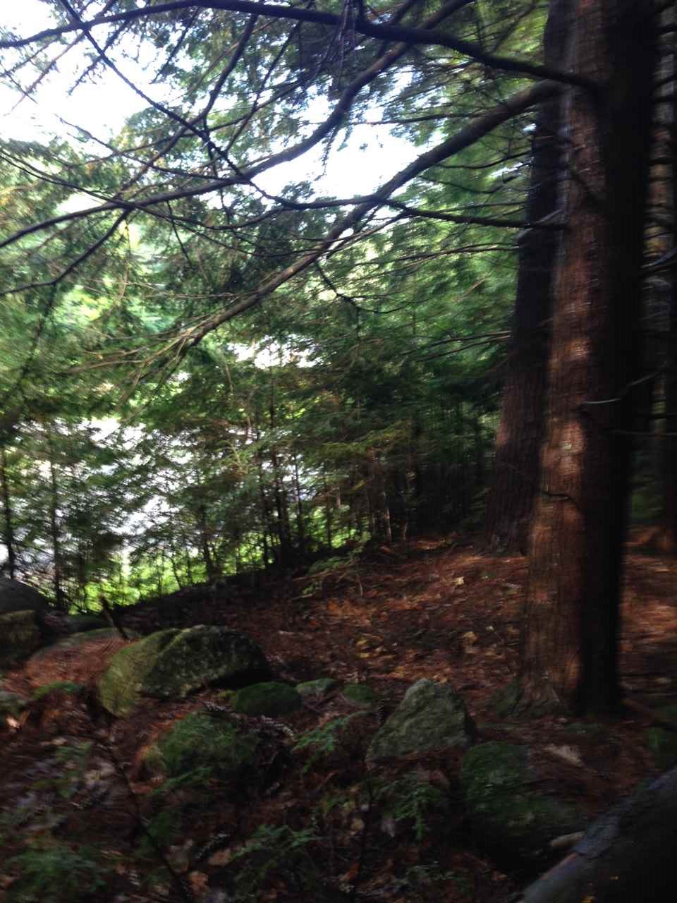 Gibson Mountain Road Antrim, NH 03440 - Photo 17 of 19 Gallery Image 17