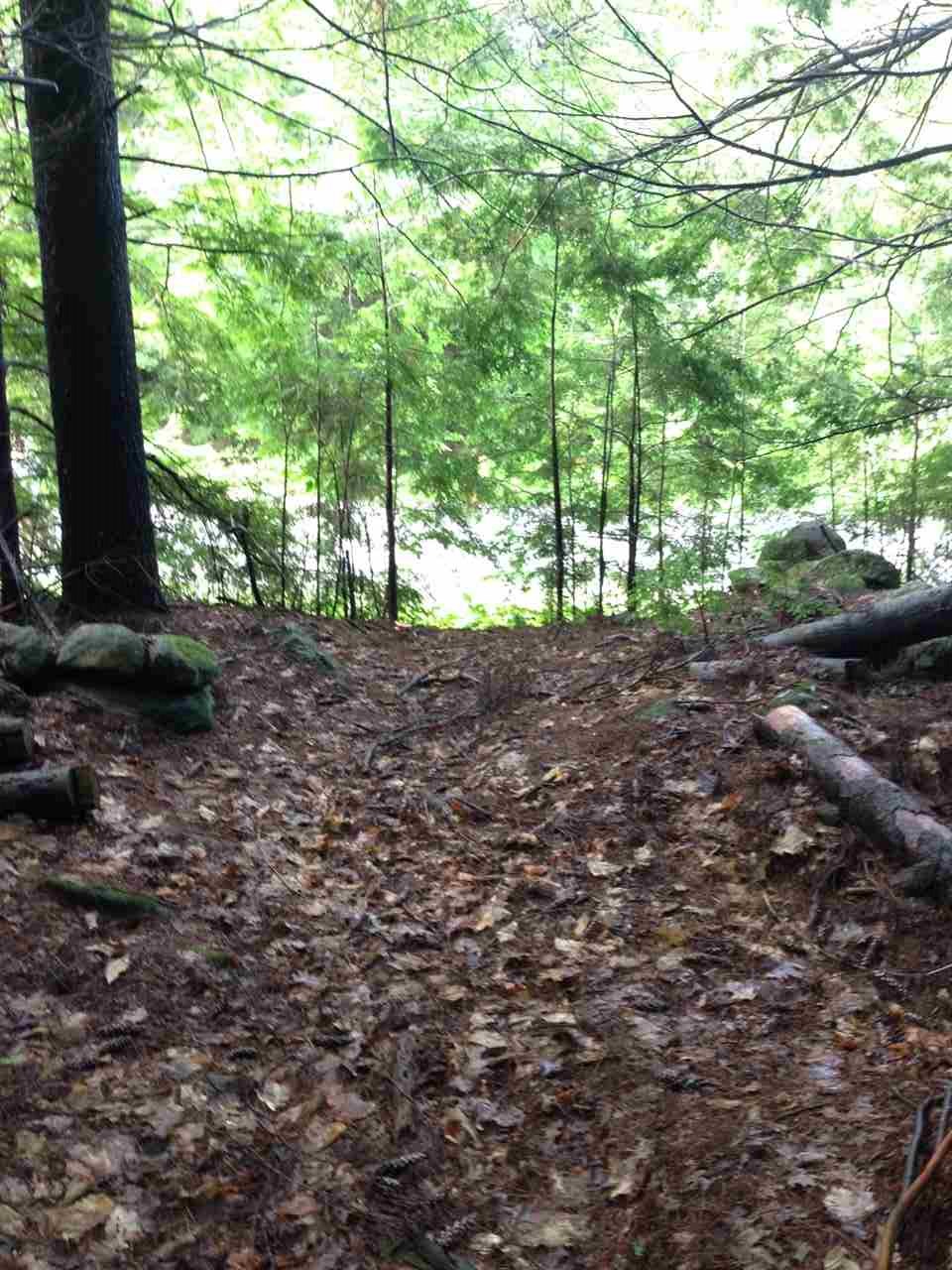 Gibson Mountain Road Antrim, NH 03440 - Photo 18 of 19 Gallery Image 18