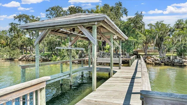 a lake view with palm trees