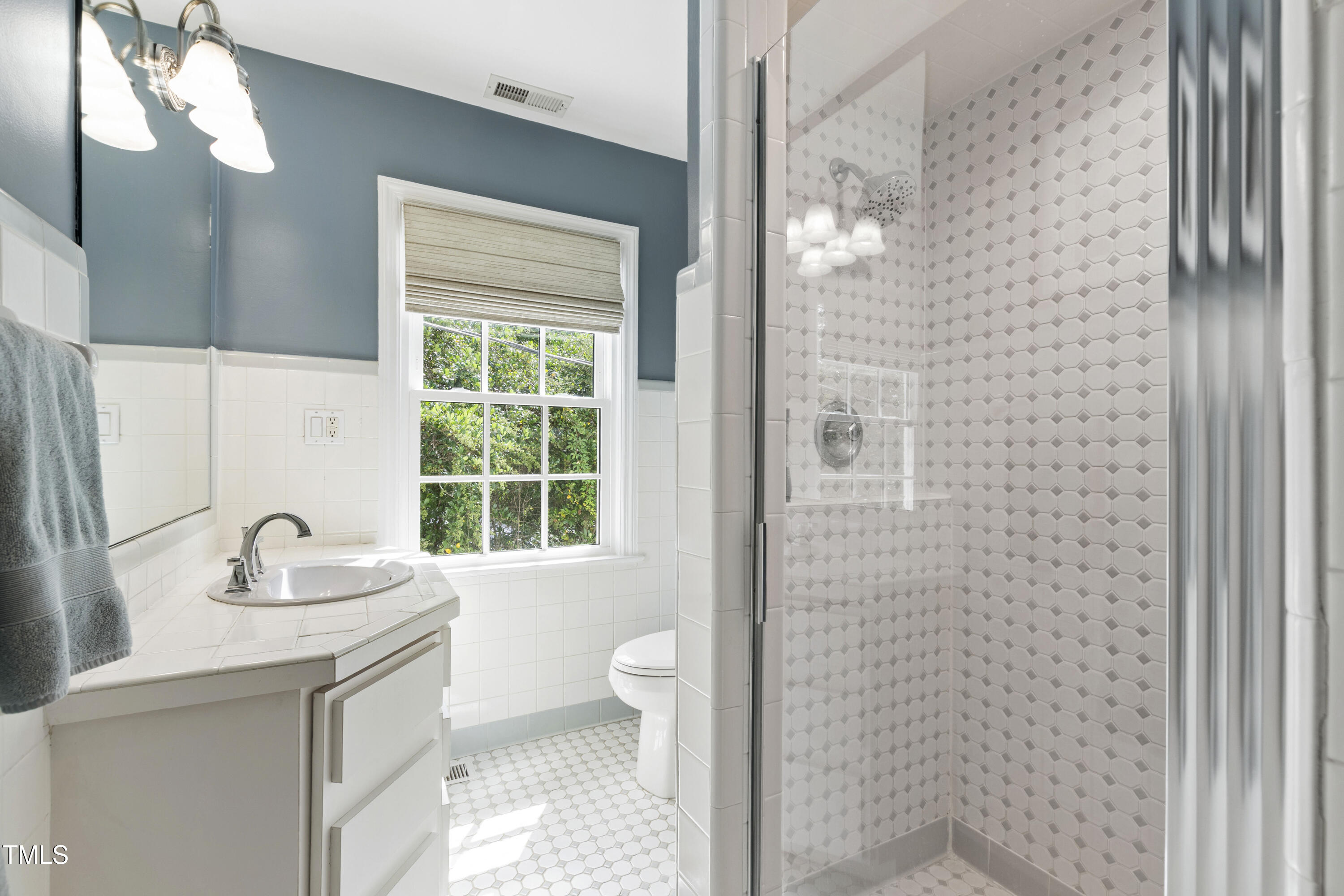 2610 Wells Avenue Raleigh, NC 27608 - Photo 45 of 64 a bathroom with a sink a toilet and a shower