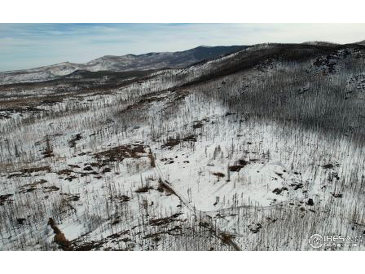 1895 Granite Road Bellvue, CO 80512 - Photo 4 of 23 Gallery Image 4