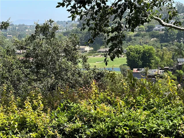 a view of a garden with a tree