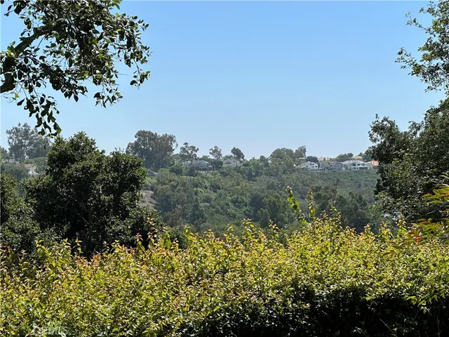 a view of a garden with a tree
