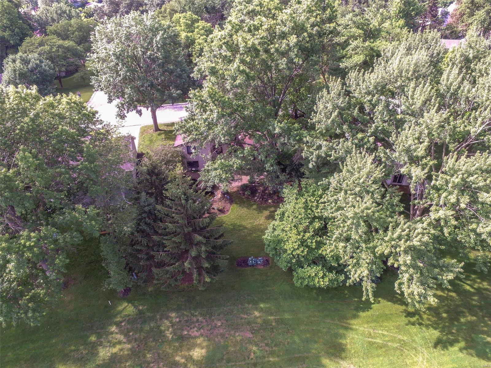 134 Rue Grand Drive Lake St. Louis, MO 63367 - Photo 29 of 31
