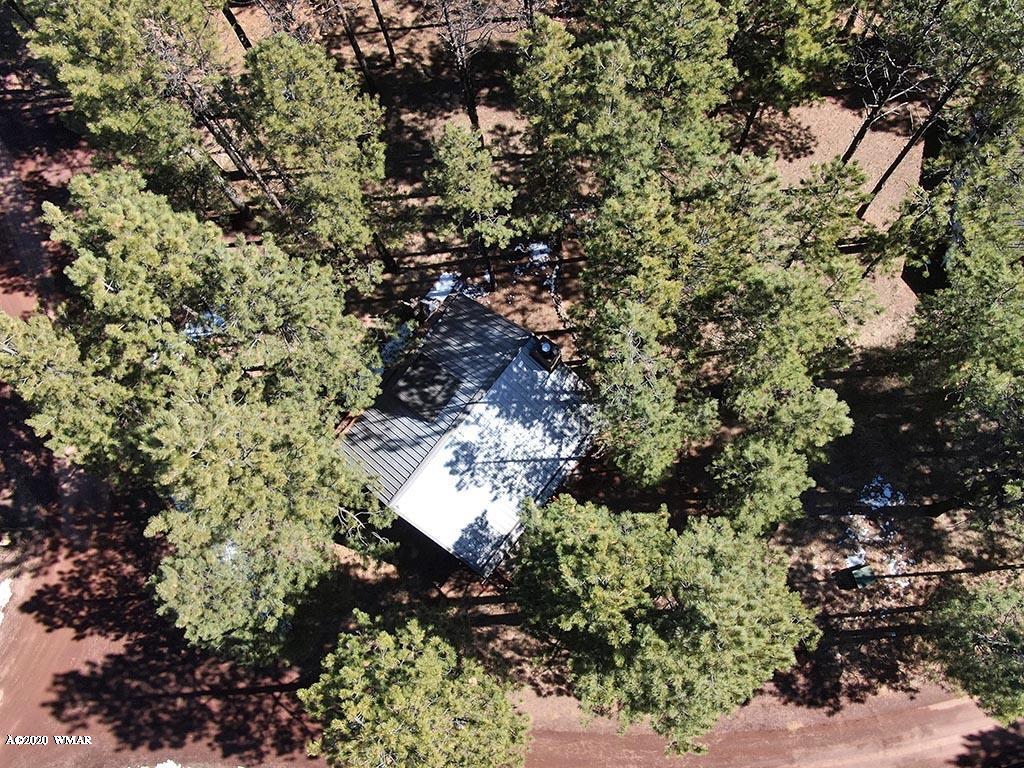 24 County Road Greer, AZ 85927 - Photo 7 of 39