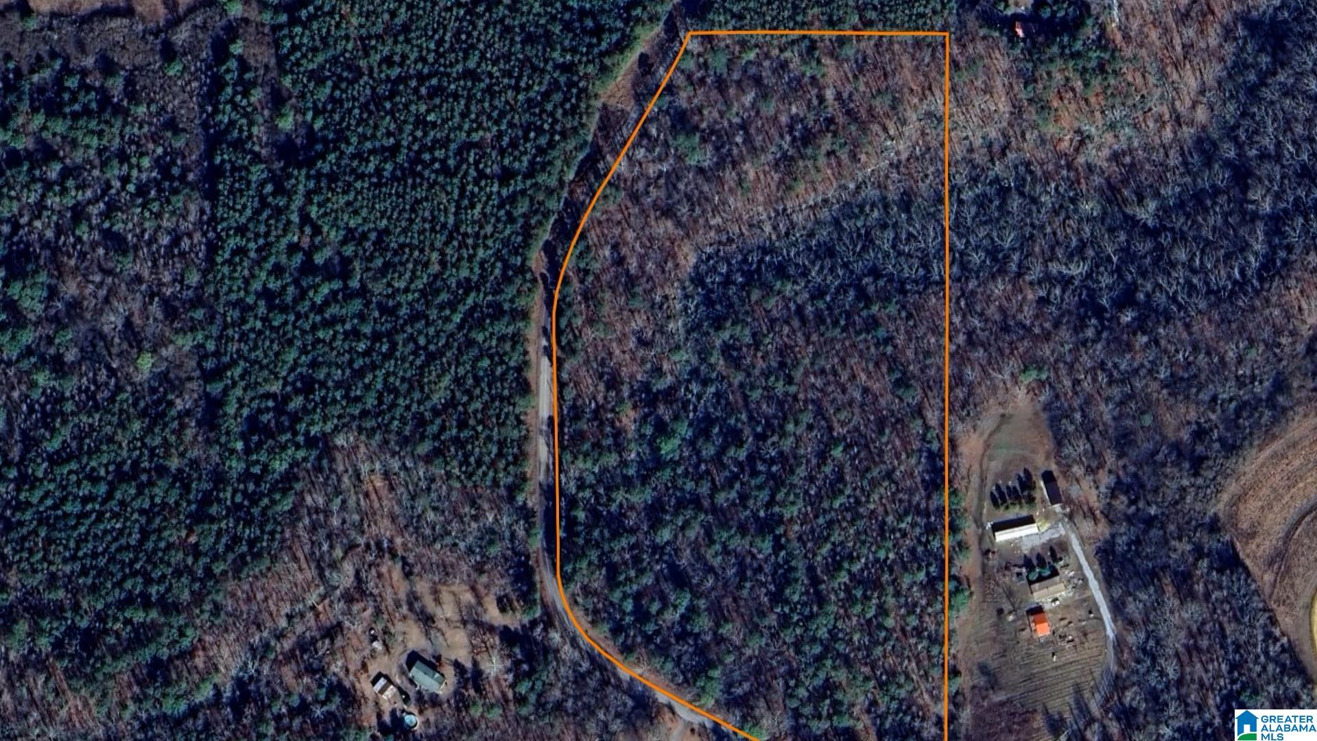 Loop Road, Unit 18 Steele, AL 35987 - Photo 4 of 9