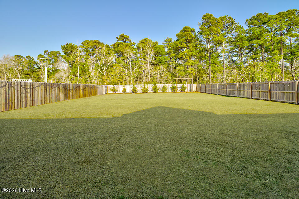 206 Abaco Way Hampstead, NC 28443 - Photo 46 of 48 IMG_1036_7_8-2