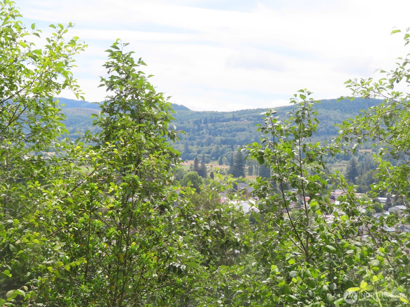 -xxx Coleman Road Mossyrock, WA 98564 - Photo 4 of 20