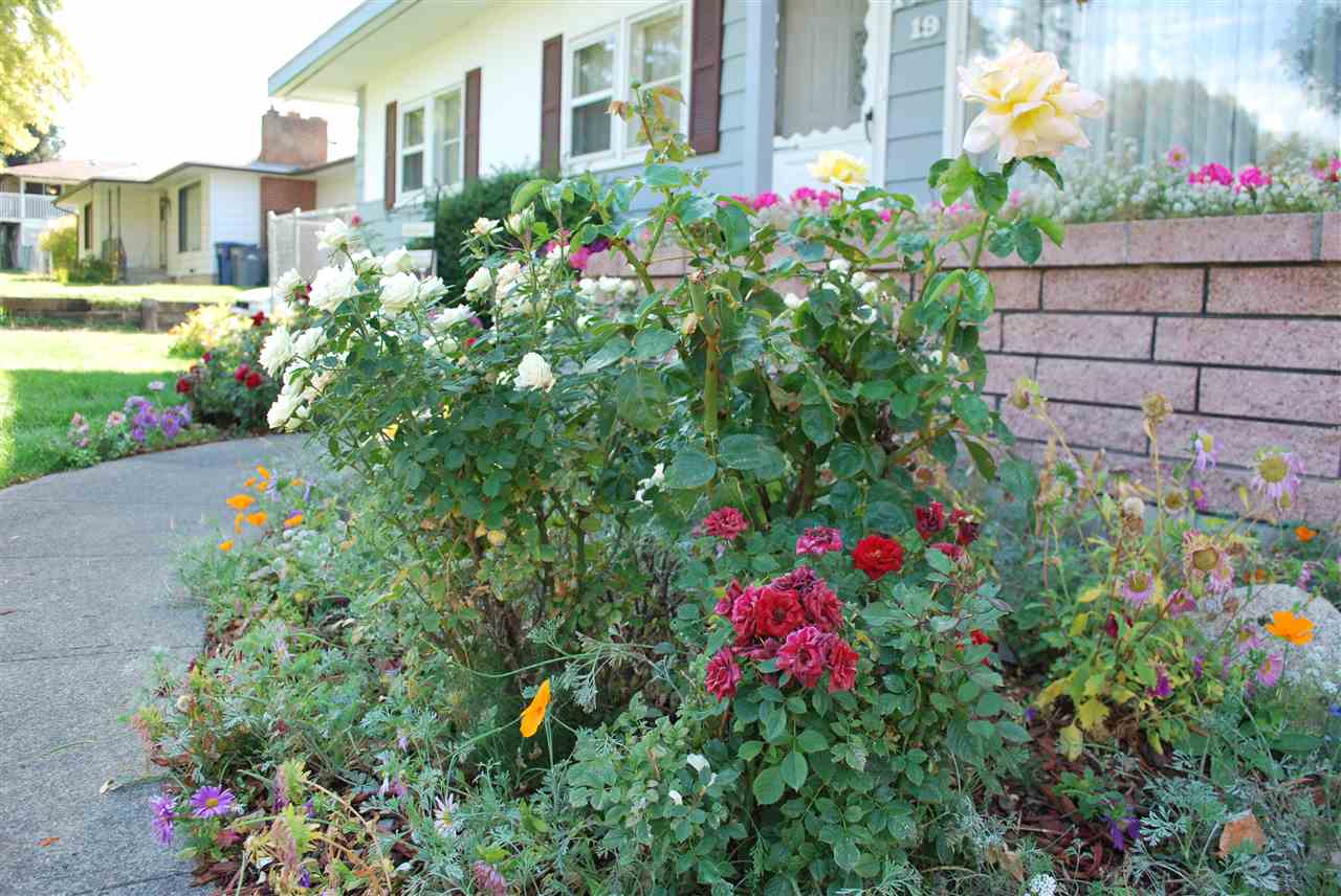 1219 North Dick Road Spokane Valley, WA 99212 - Photo 2 of 20