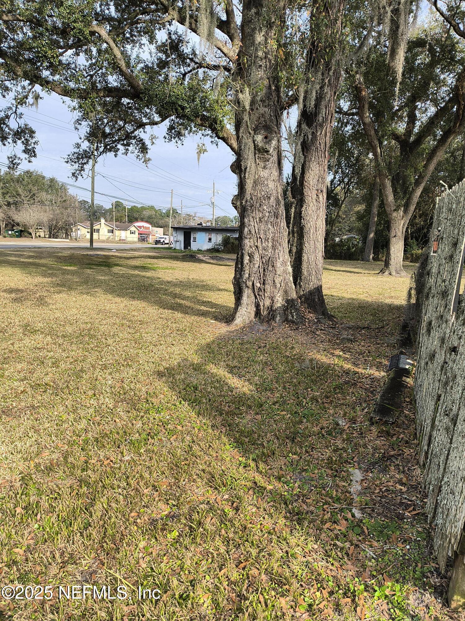 3906 Emerson Street Jacksonville, FL 32207 - Photo 3 of 8 a view of a yard with an tree