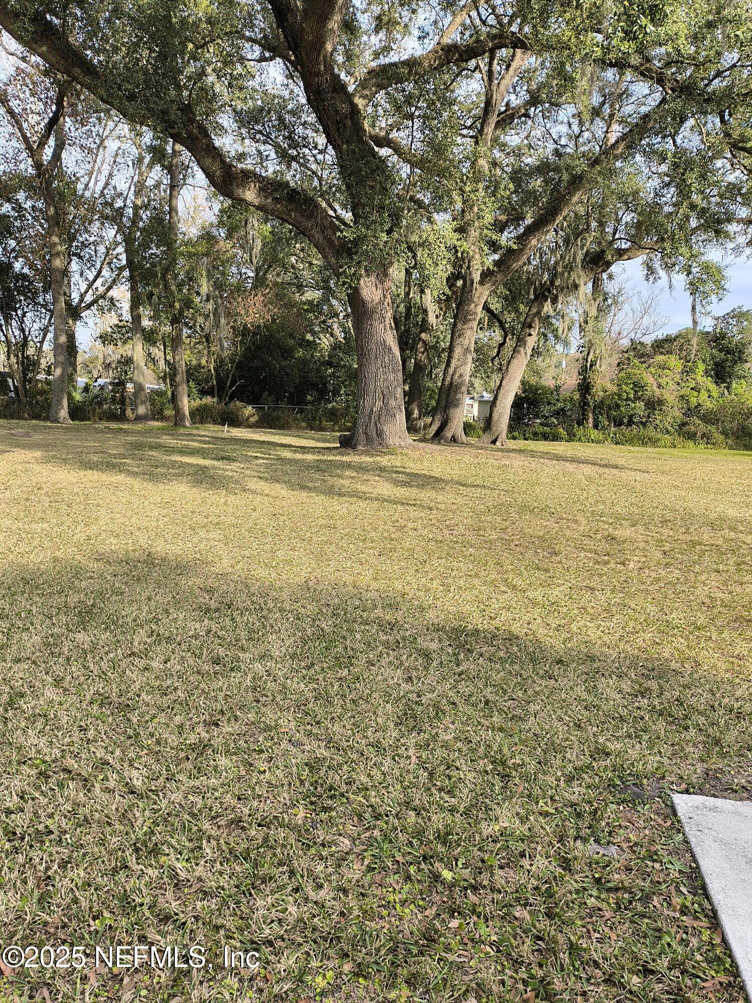 3906 Emerson Street Jacksonville, FL 32207 - Photo 8 of 8 a view of lake view