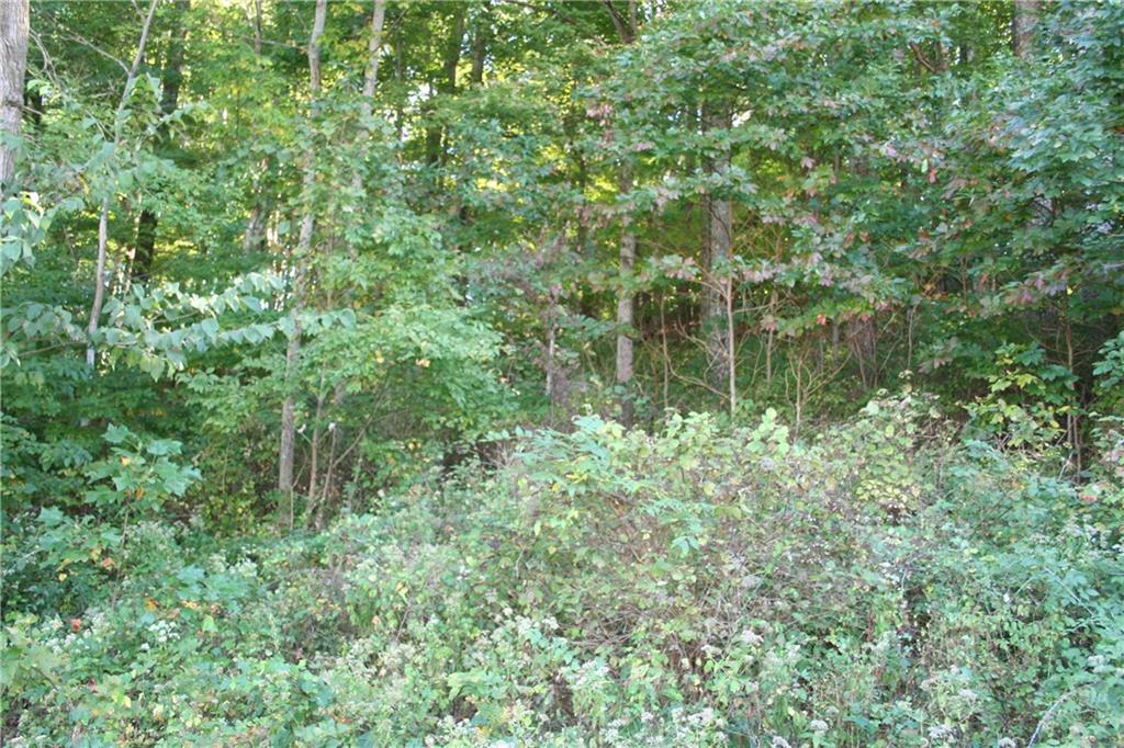 4485 Liberty Loop Road Martinsville, IN 46151 - Photo 19 of 19 Gallery Image 19