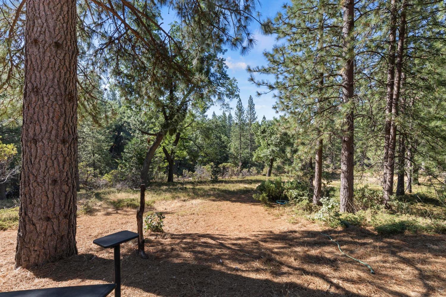 25251 Canterbury Road Pioneer, CA 95666 - Photo 13 of 33 a view of a street with a tree