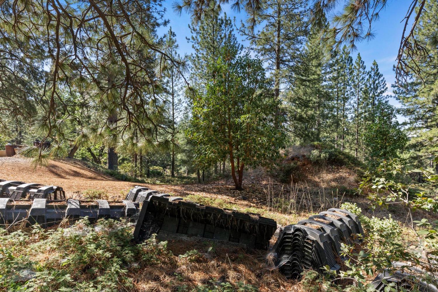 25251 Canterbury Road Pioneer, CA 95666 - Photo 21 of 33 a view of backyard with green space