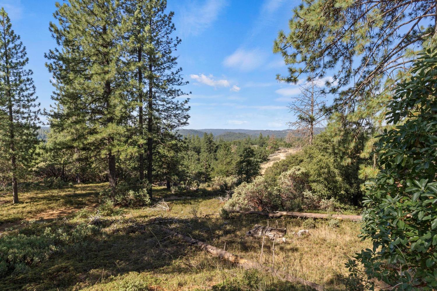 25251 Canterbury Road Pioneer, CA 95666 - Photo 25 of 33 a view of outdoor space and yard